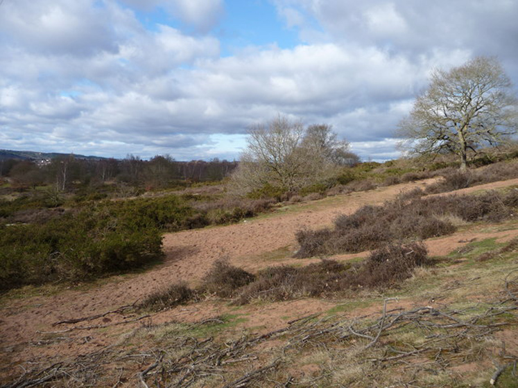 Hartlebury Common Vale & Spa